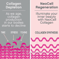 PILLE MULTI COLLAGEN STUBILE CANDE MULTI COLLAGEN COMPRENSI